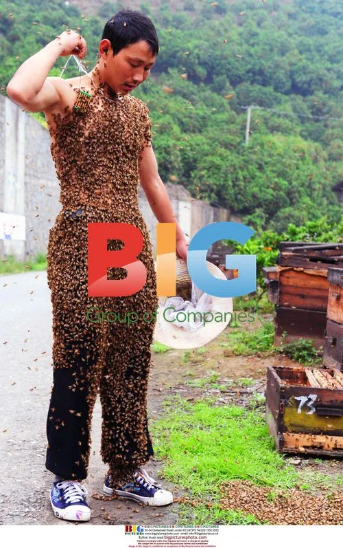 Beekeeper Covered in Bees in China