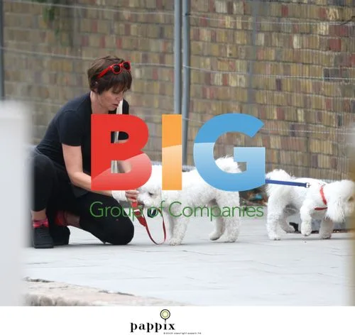 Sadie Frost walks dogs, talks to friend
