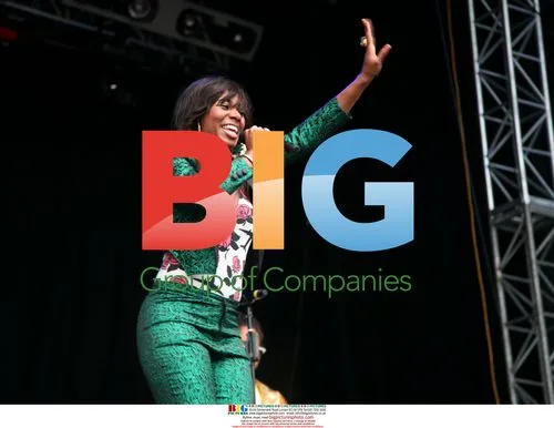 Santigold performs at Field Day Festival