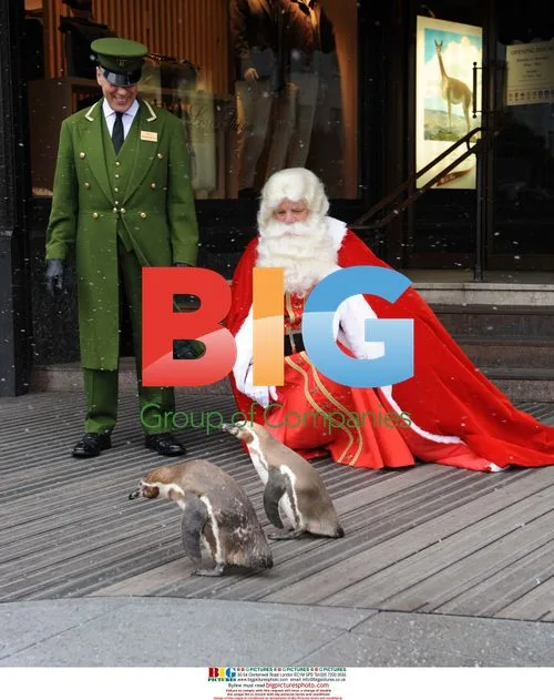 Santa and Penguins at Harrods Christmas World