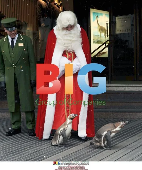 Santa and Penguins at Harrods Christmas