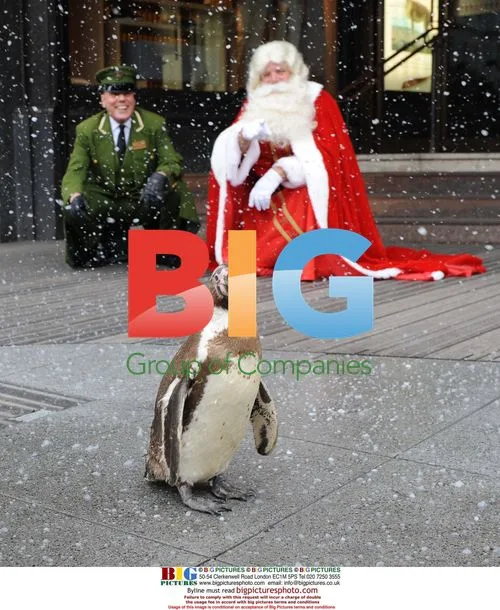 Santa and Penguins at Harrods Christmas Opening