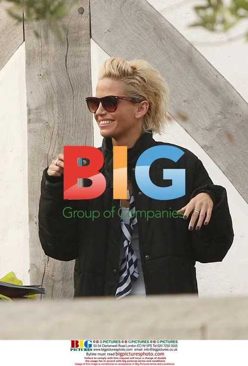 Sarah Harding films St Trinians