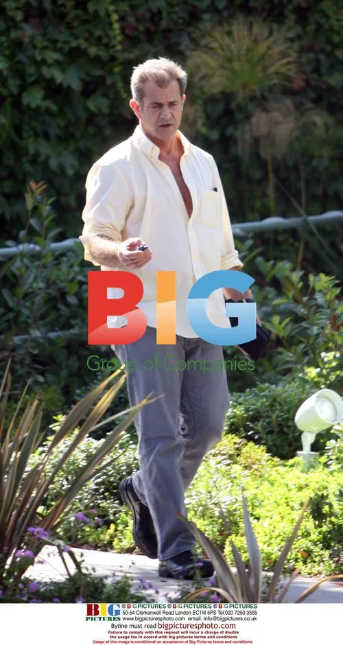 Mel Gibson and friend have lunch, go shopping