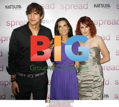 Kutcher, Moore & Willis at 'Spread' Screening