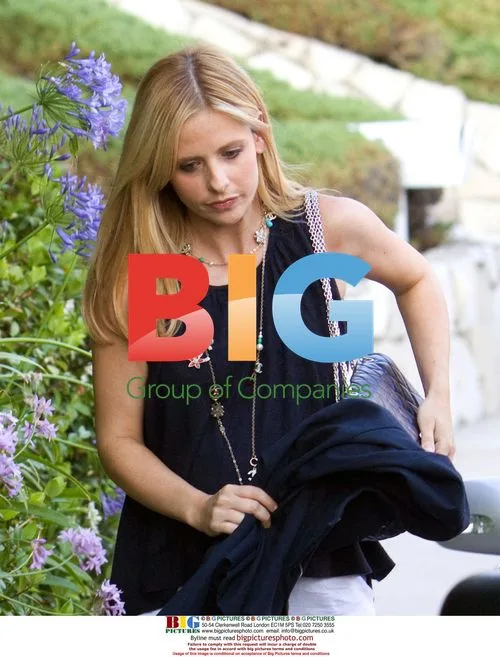 Sarah Michelle Gellar in Chanel