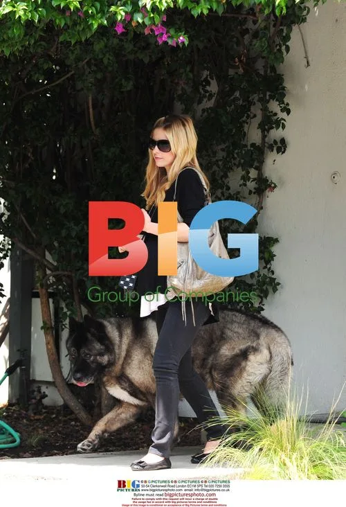 Pregnant Sarah Michelle Gellar with dog