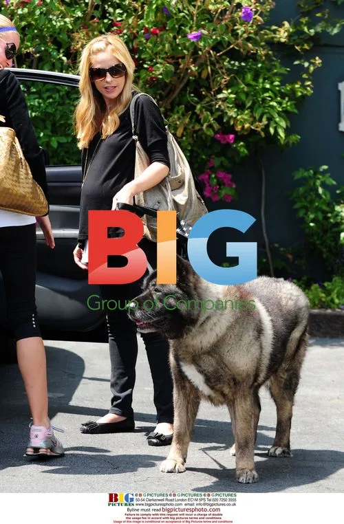 Pregnant Sarah Michelle Gellar with Dog