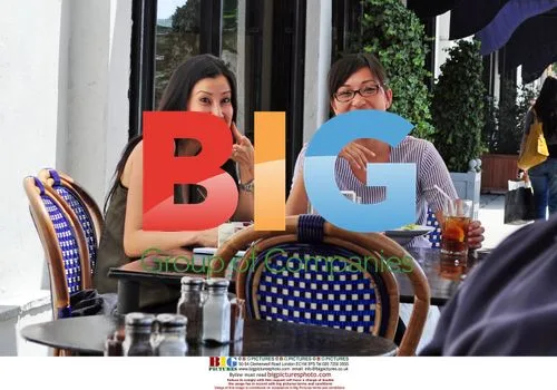 Lisa Ling Enjoys Lunch, Accident Happens
