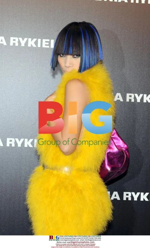 Sonia "Rykiel for H&M" Launch Party