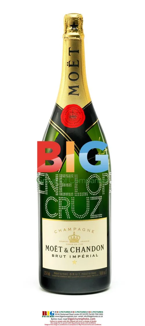 Moet & Chandon Charity Auction