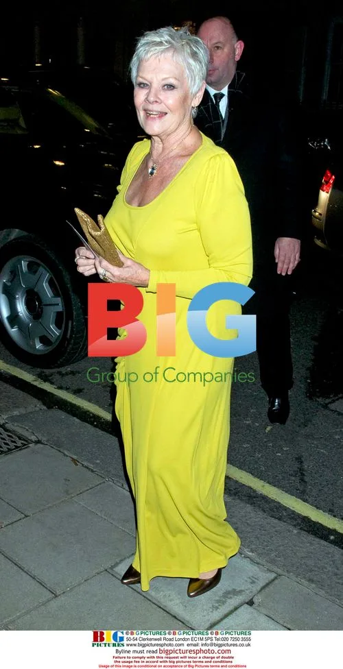 Dame Judy Dench at Nine world premiere party