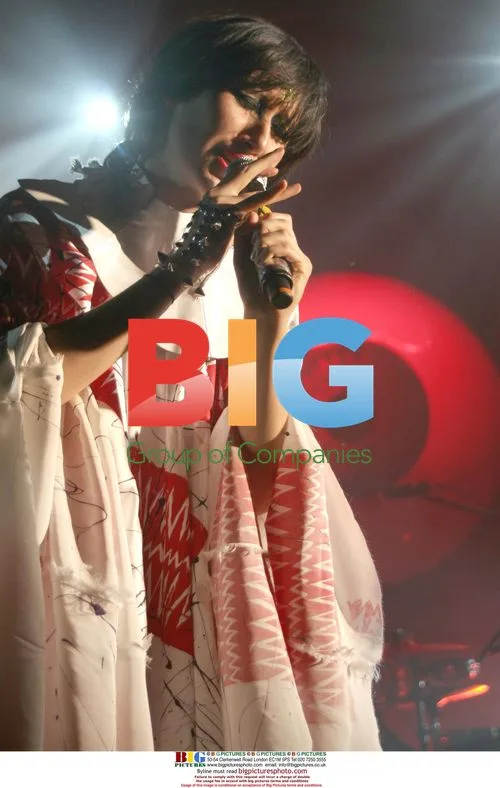 Yeah Yeah Yeahs Perform at Manchester Apollo