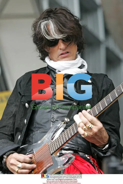 Joe Perry of Aerosmith performs with side project