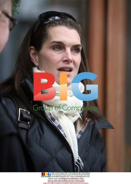 Brooke Shields showing signs of aging