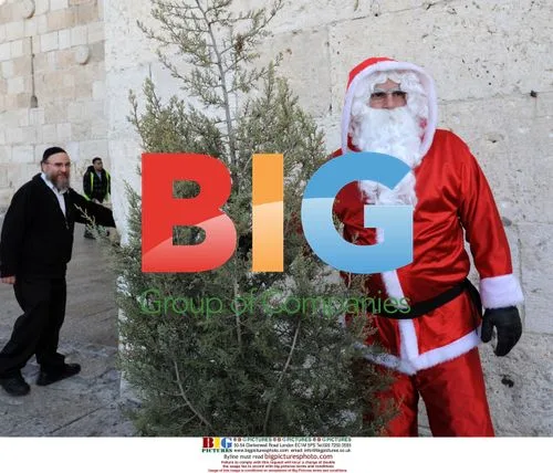 Israeli Arab Santa distributes Christmas trees