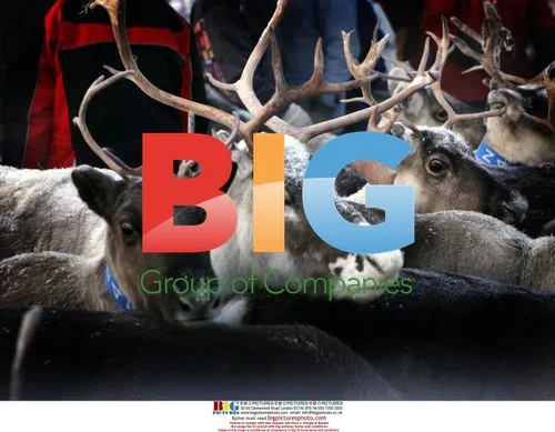 Laplanders and reindeers in northern Sweden