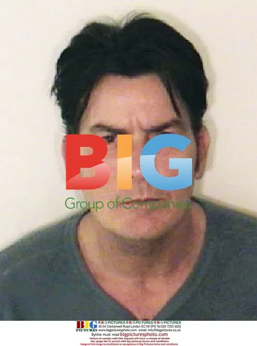 Charlie Sheen Arrested for Domestic Violence