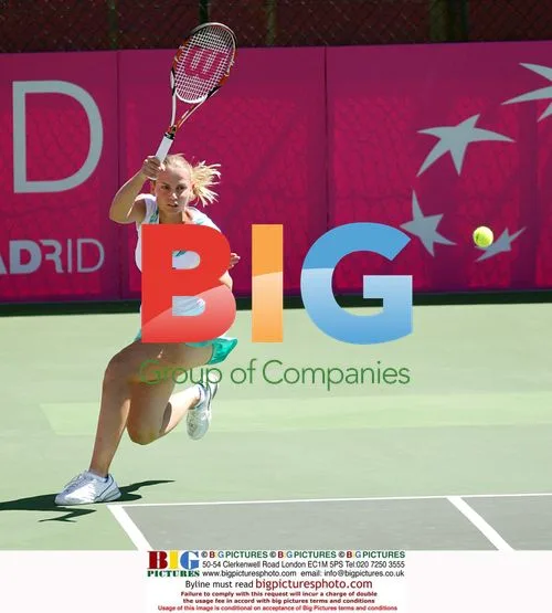 Jelena Dokic playing in 2009 Federation Cup