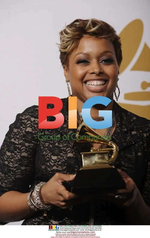 Chrisette Michele at 51st Grammy Awards