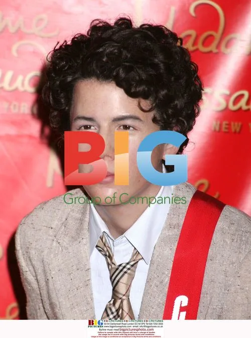 Nick Jonas Wax Figure Unveiling