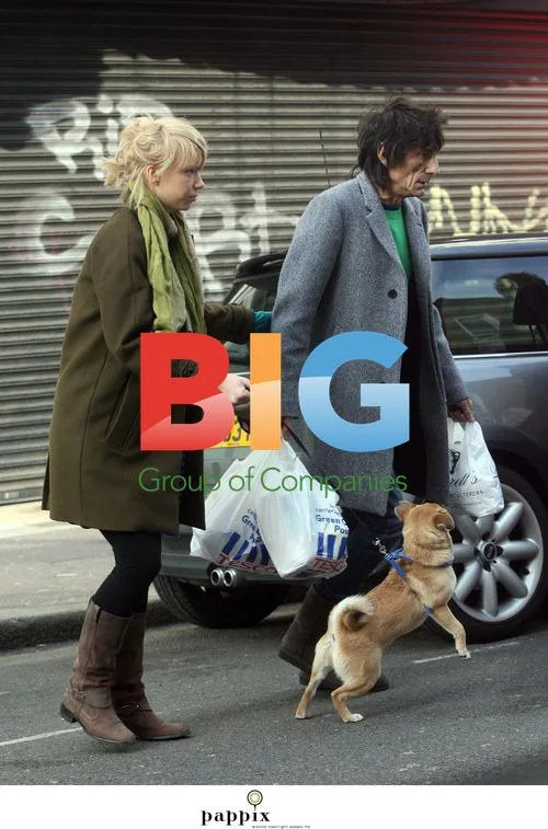 Ronnie Wood and girlfriend walk dog in London