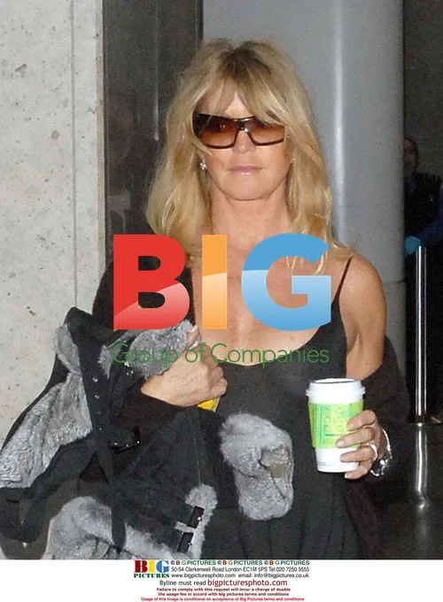 Goldie Hawn Arrives at LAX in Sheer Dress