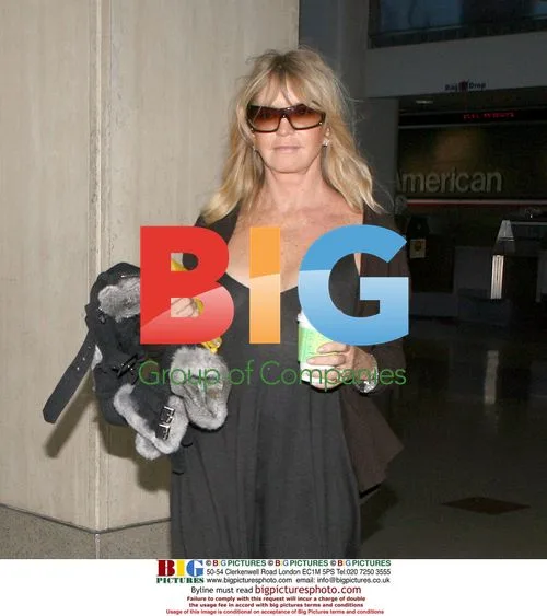 Goldie Hawn Arrives at LAX in Sheer Dress