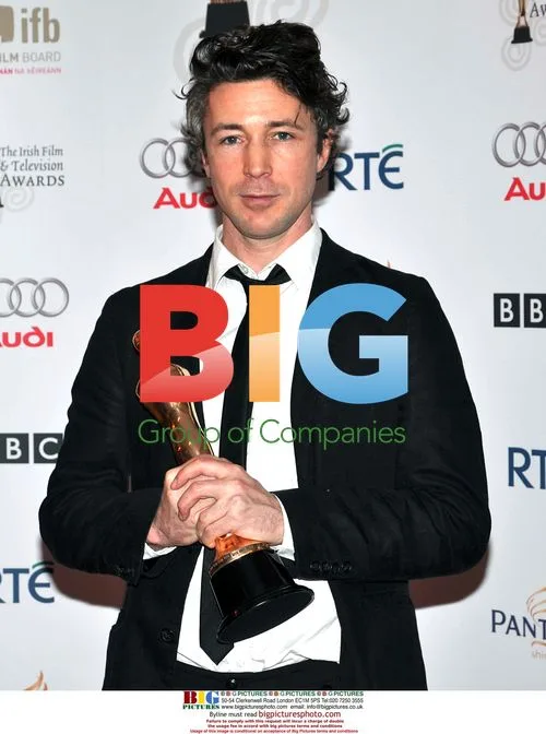 Aidan Gillen at IFTA Awards in Dublin