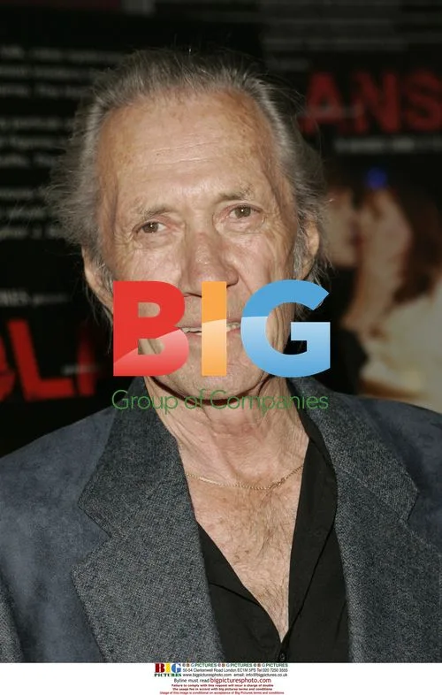 David Carradine at 'Polanski Unauthorized' Screening