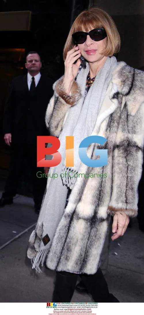 Anna Wintour at Calvin Klein Fashion Show