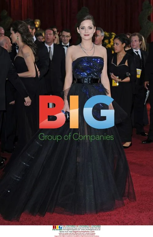 Marion Cotillard at 2009 Oscars