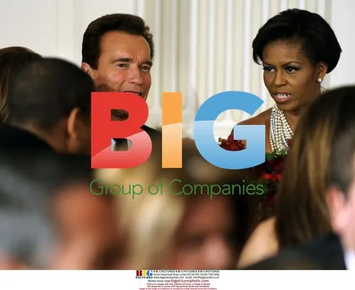 Michelle Obama and Arnold Schwarzenegger at White House Dinner