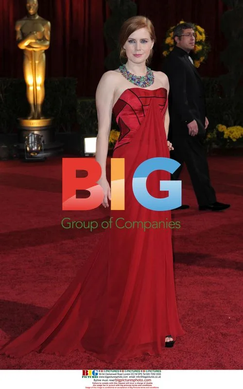 Amy Adams at 2009 Oscars