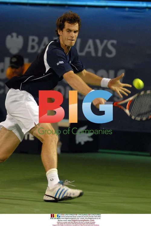 Andy Murray vs. Arnaud Clement Tennis Match