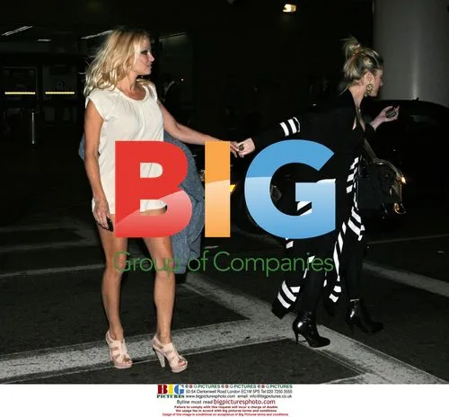 Pamela Anderson Returns from Vegas