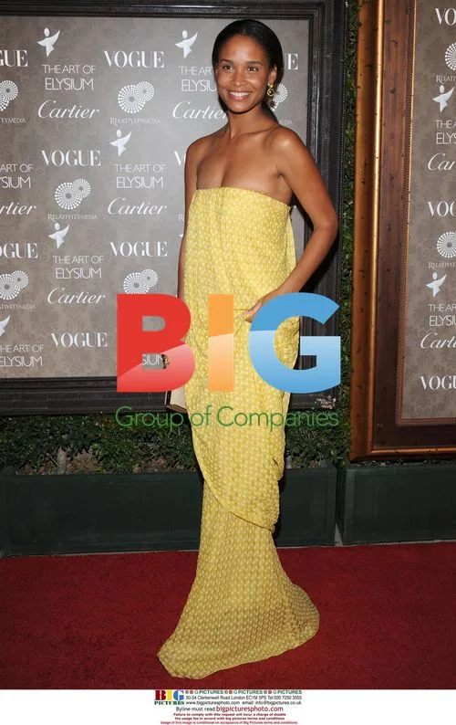 Joy Bryant at Art of Elysium Gala