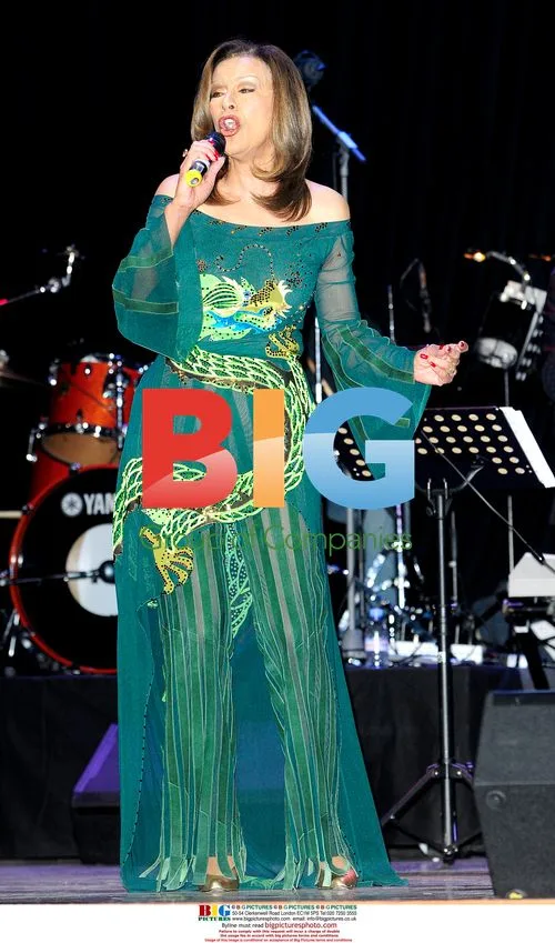 Marilyn McCoo at David Gest's 'My Life' Musical
