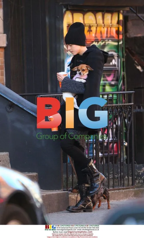 Agyness Deyn Walks Dogs in NYC