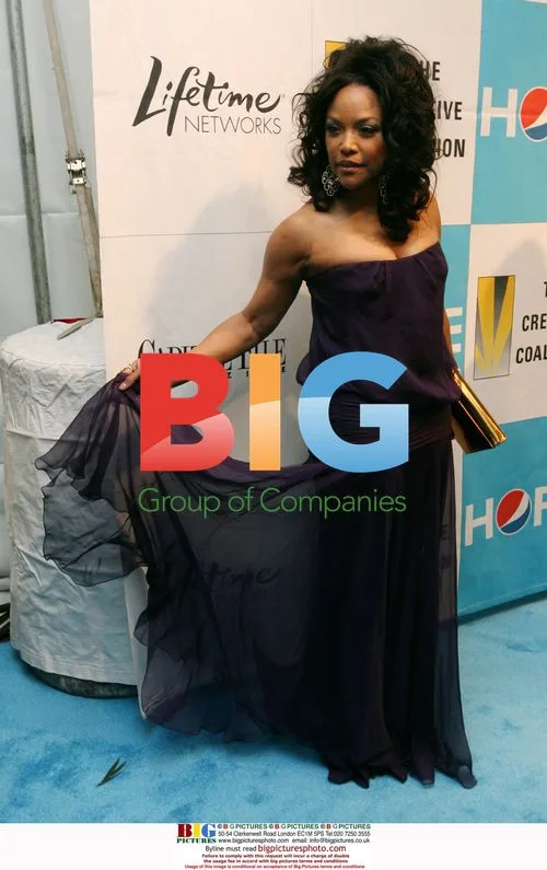 Lynn Whitfield at Creative Coalition's Inaugural Ball