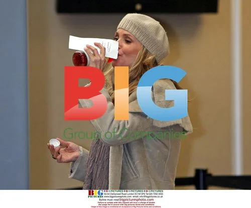 Christie Brinkley at airport