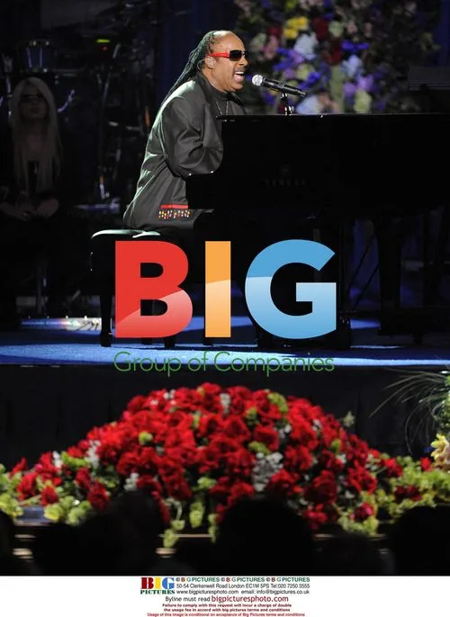 Stevie Wonder performs at Jackson memorial