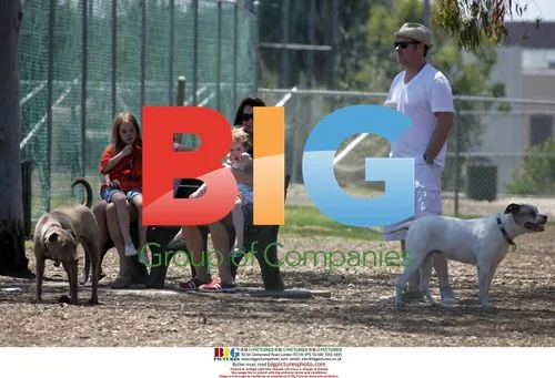 Brooke Shields and family at dog park