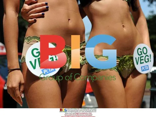 Playmates Promote Veggie Hot Dogs
