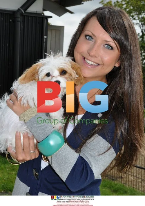 Irish Celebs Microchip Dogs After Theft