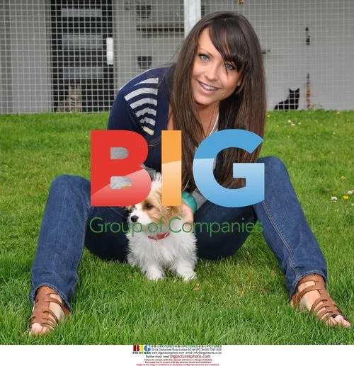 Liberty X singer Michelle Heaton and others microchip dogs
