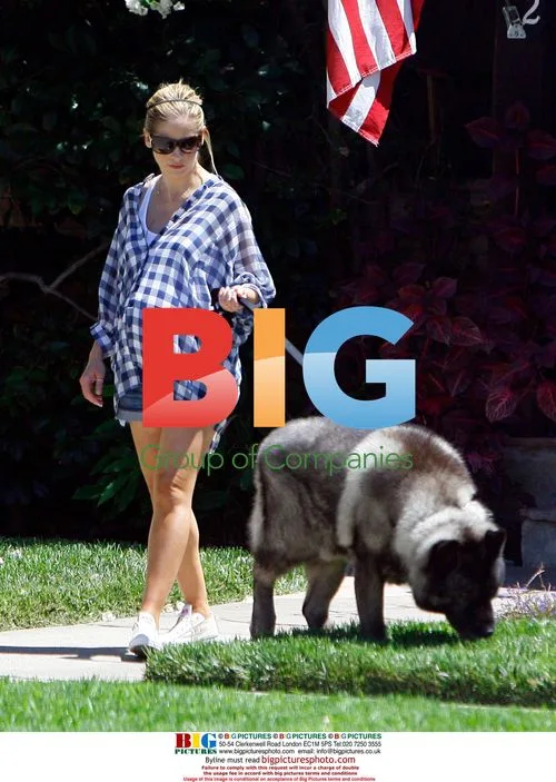 Pregnant Sarah Michelle Gellar out with pet