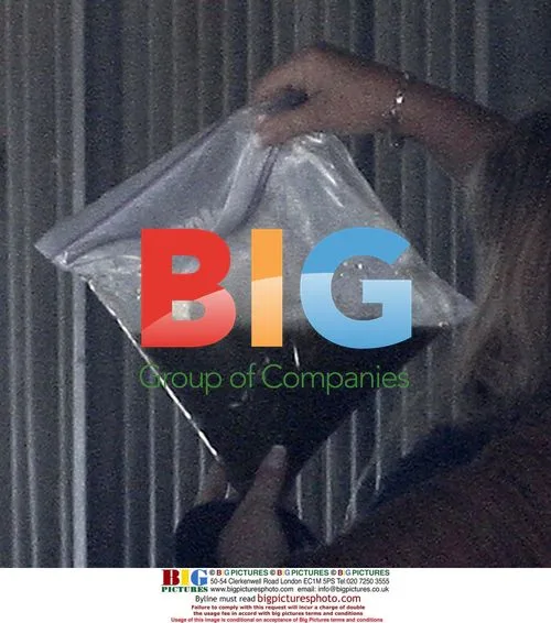 Debbie Rowe takes horse sample