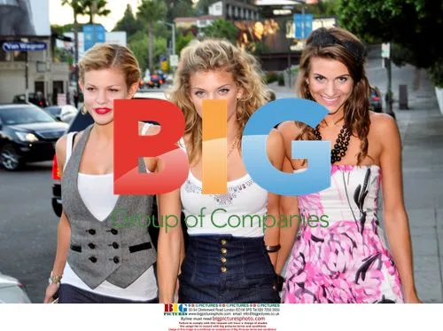 AnnaLynne McCord and sisters out in LA