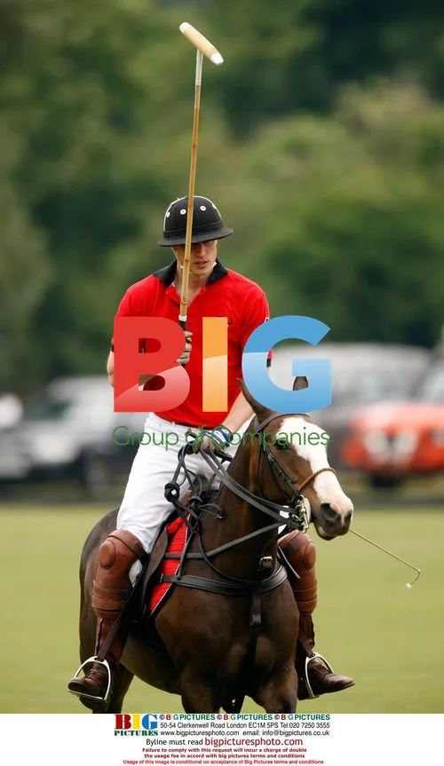Princes William and Harry play polo